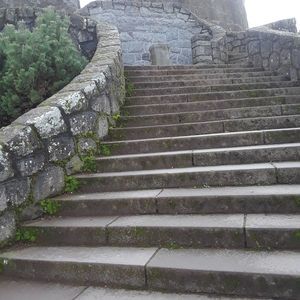 Meet your Posher, Tom